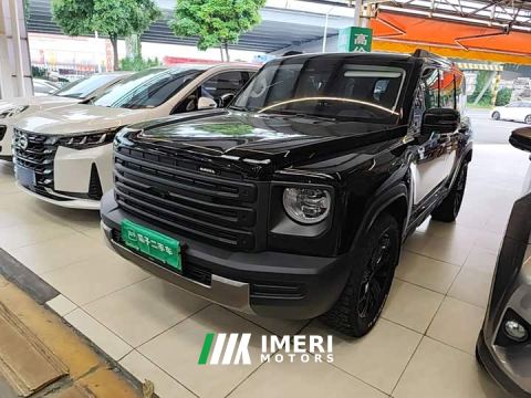 2024 Haval Manlong New Energy Hi4 145 Pro - автомобиль из Китая