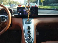 ORA Lightning Cat 555km Deluxe Edition - ფოტო 12