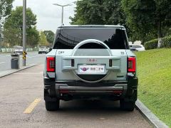 Fangchengbao Leopard 8 Zhiyong Flagship Edition 7-Seater - photo 5