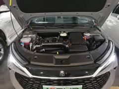 BYD Qin L DM-i 128KM Leading Edition - photo 19