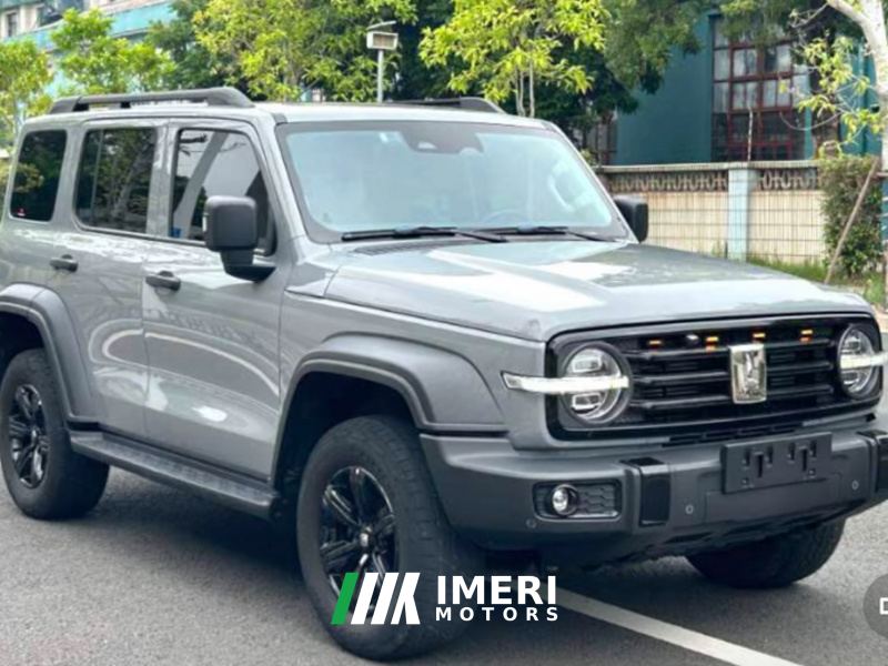 Tank 300 Off-Road Edition 2.0T Conqueror - ავტომობილი ჩინეთიდან