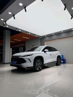BYD Song L DM-i 1.5L 112km Leading Edition - фото 1