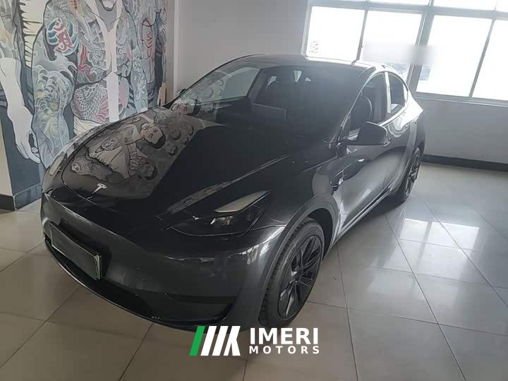Tesla Model Y Rear-Wheel Drive - car from China