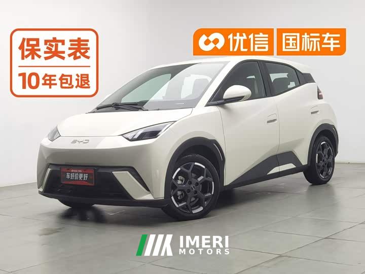 BYD Seagull 305km Freedom Edition - car from China