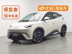 BYD Seagull 305km Freedom Edition - photo 1