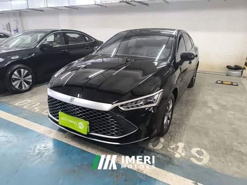 2024 BYD Qin PLUS Glory Edition DM-i 55KM Leading