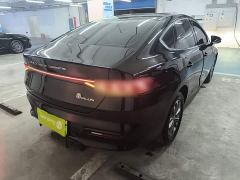 BYD Qin PLUS Glory Edition DM-i 55KM Leading - фото 7