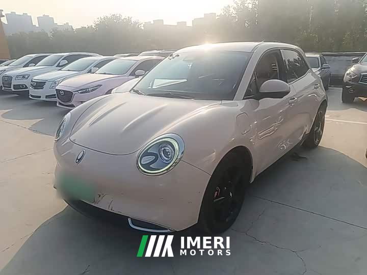 ORA Good Cat 400km Standard Range Venus Edition Ternary Lithium Battery - car from China
