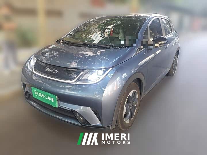 BYD Dolphin 420km Freedom Edition - ავტომობილი ჩინეთიდან