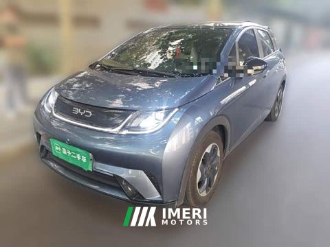 2025 BYD Dolphin 420km Freedom Edition