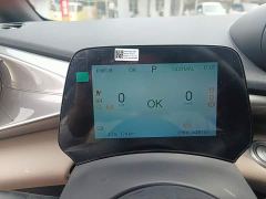 BYD Dolphin 420km Freedom Edition - ფოტო 16