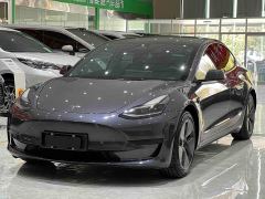 Tesla Model 3 Standard Range RWD Upgrade 3D6 - photo 1