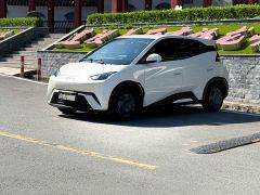 BYD Seagull 305km Vitality Edition - ფოტო 1