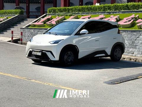 2025 BYD Seagull 305km Vitality Edition