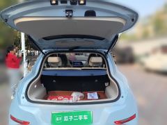 Ora Great Wall Good Cat 401km Standard Range Prestigious Edition Ternary Lithium - photo 20