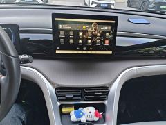 BYD Song Pro New Energy DM-i 71KM Glory Edition Pilot - фото 5