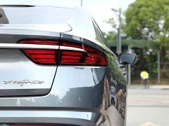 Geely Xingrui Facelift 2.0T Diesel Premium - фото 16