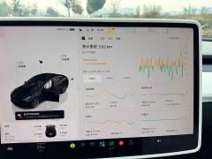 Tesla Model 3 Rear-Wheel Drive - photo 13