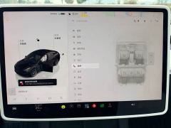 Tesla Model 3 Rear-Wheel Drive - photo 17