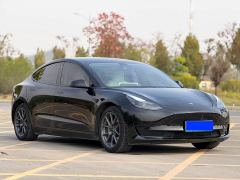 Tesla Model 3 Rear-Wheel Drive - photo 3