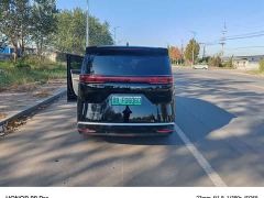 Denza D9 DM-i 980 Four-Wheel Drive Flagship - фото 8