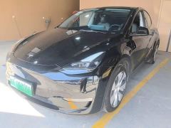 Tesla Model Y Standard Range RWD - фото 1