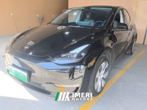 2021 Tesla Model Y Standard Range RWD - автомобиль из Китая