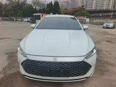 BYD Qin PLUS Champion Edition DM-i 55KM Leading - photo 2