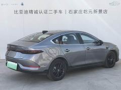 BYD Qin PLUS EV Smart Driving Edition 510KM Superior - фото 3