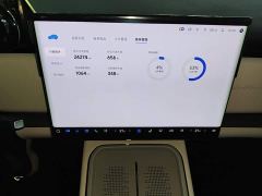Voyah Lantu Zhiyin Long-Range Smart Comfort Edition - photo 11