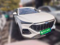 Changan Oushan X5 Enjoy Edition 1.5T DCT Luxury - photo 5