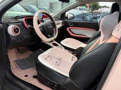 Chery Ant 301km True Love Plus Version Lithium iron phosphate - ფოტო 3