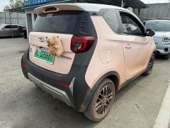 Chery Ant 301km True Love Plus Version Lithium iron phosphate - ფოტო 6
