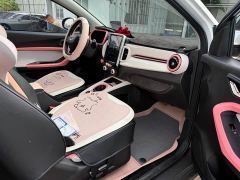 Chery Ant 301km True Love Plus Version Lithium iron phosphate - ფოტო 7