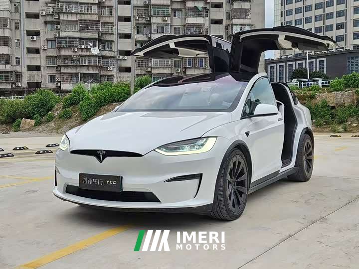 Tesla Model X Dual Motor All-Wheel Drive - автомобиль из Китая