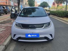 BYD Dolphin 420km Stylish Edition - photo 3