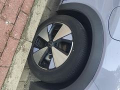BYD Dolphin 420km Stylish Edition - photo 6