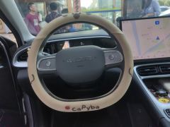 Geely Galaxy Star Wish 310km Dream Edition - ფოტო 18