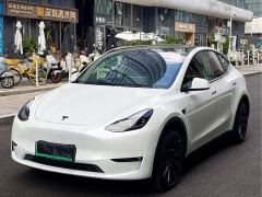 Tesla Model Y Long Range All-Wheel Drive - photo 1