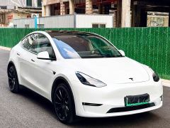 Tesla Model Y Long Range All-Wheel Drive - photo 3