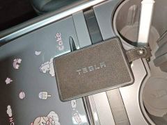 Tesla Model 3 Rear-Wheel Drive - ფოტო 8