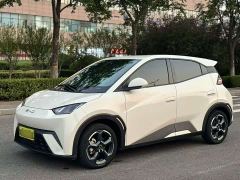 BYD Seagull Freedom Edition - фото 1