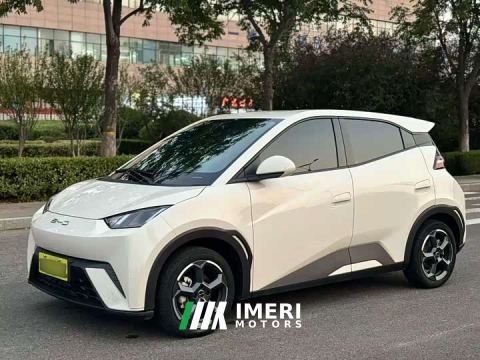 2023 BYD Seagull Freedom Edition - car from China