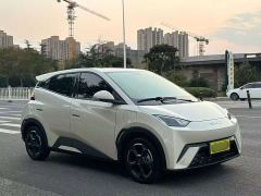 BYD Seagull Freedom Edition - фото 3