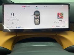 Great Wall WEY Shanshan New Energy Four-Wheel Drive Shanshan 8 - фото 11