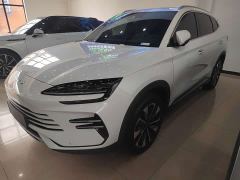 BYD Song Plus New Energy DM-i 112KM Prestige - photo 1