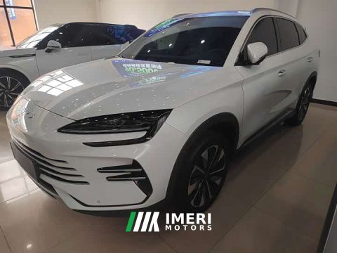 2024 BYD Song Plus New Energy DM-i 112KM Prestige - car from China
