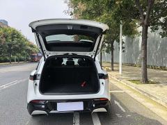 Voyah Lantu FREE 318 259km AWD Explorer Edition - photo 19