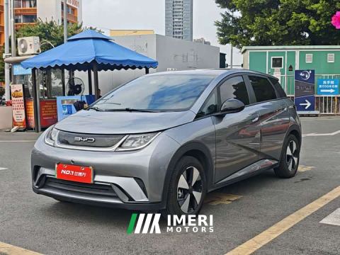 2024 BYD Dolphin 420km Freedom Edition - car from China