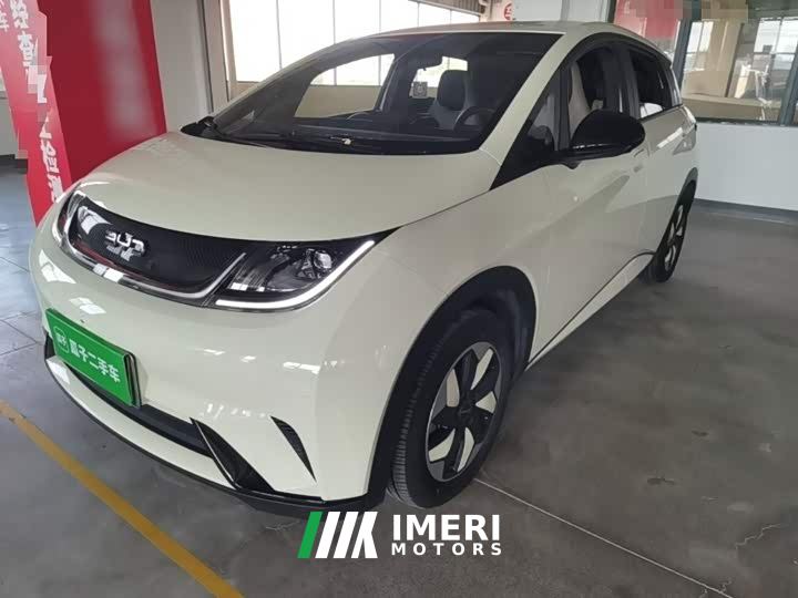 BYD Dolphin Glory Edition 420km Freedom Version